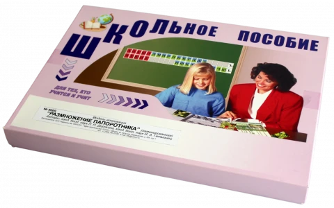 Модель-аппликация <Размножение папоротника>