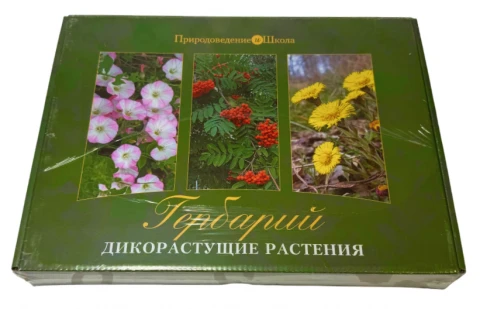 Гербарий «Дикорастущие растения»