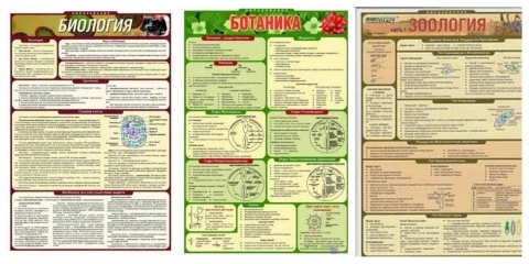 Комплект раздаточных таблиц по биологии