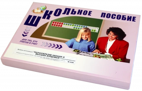Модель-аппликация <Разнообразие низших и высших хордовых> (ламинированная)