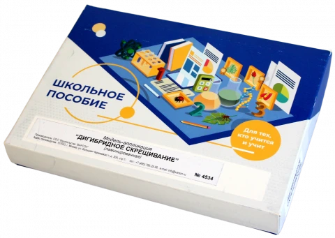 Модель-аппликация <Дигибридное скрещивание>