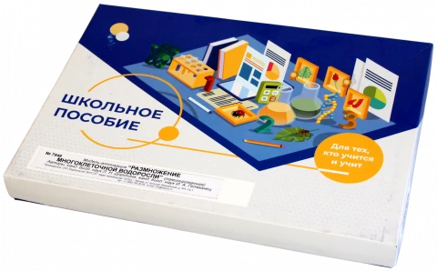 Модель-аппликация <Размножение многоклеточной водоросли>