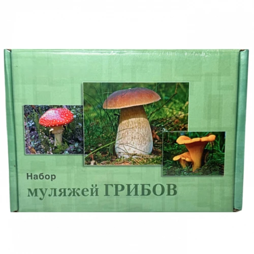 Муляжи съедобных и ядовитых грибов