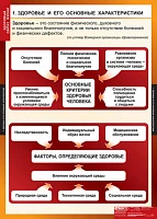 Учебный альбом из 8 листов <ОБЖ Здоровый образ жизни>, изд. Спектр