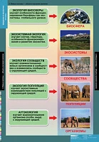 Учебный альбом из 18 листов <Биология. Введение в Экологию>