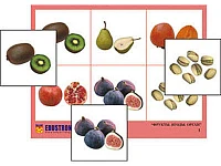 Лото <Фрукты, ягоды, орехи (4 планшета, 24 карт., цвет., ламинир.)>