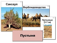 Модель-аппликация «Природные зоны России»