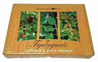 Гербарий «Деревья и кустарники»
