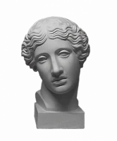 Голова Амазонки