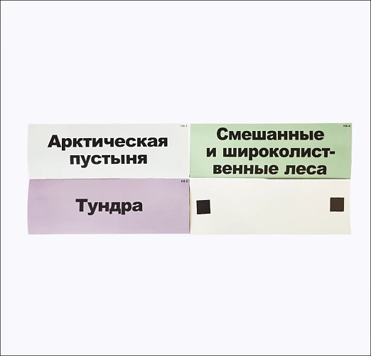 Модель-аппликация «Природные зоны России»